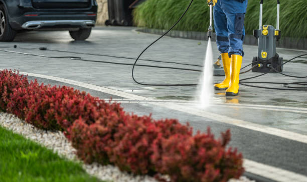 Best Roof Cleaning and Mildew Removal in Glenville, WV